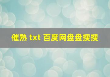 催熟 txt 百度网盘盘搜搜